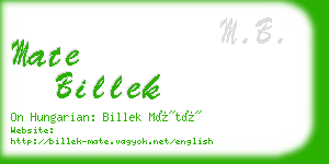 mate billek business card